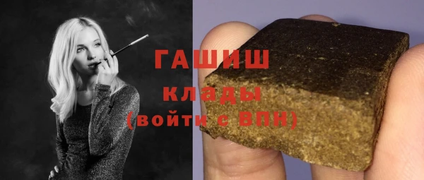 стаф Корсаков