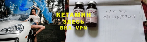стаф Корсаков