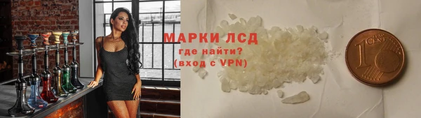 стаф Корсаков