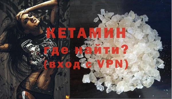стаф Корсаков
