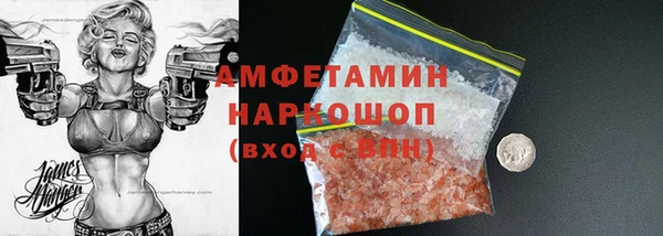 стаф Корсаков