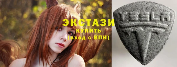 стаф Корсаков