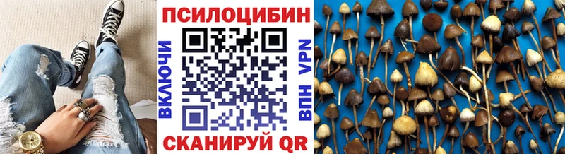 Псилоцибиновые грибы GOLDEN TEACHER  сколько стоит  Электросталь 